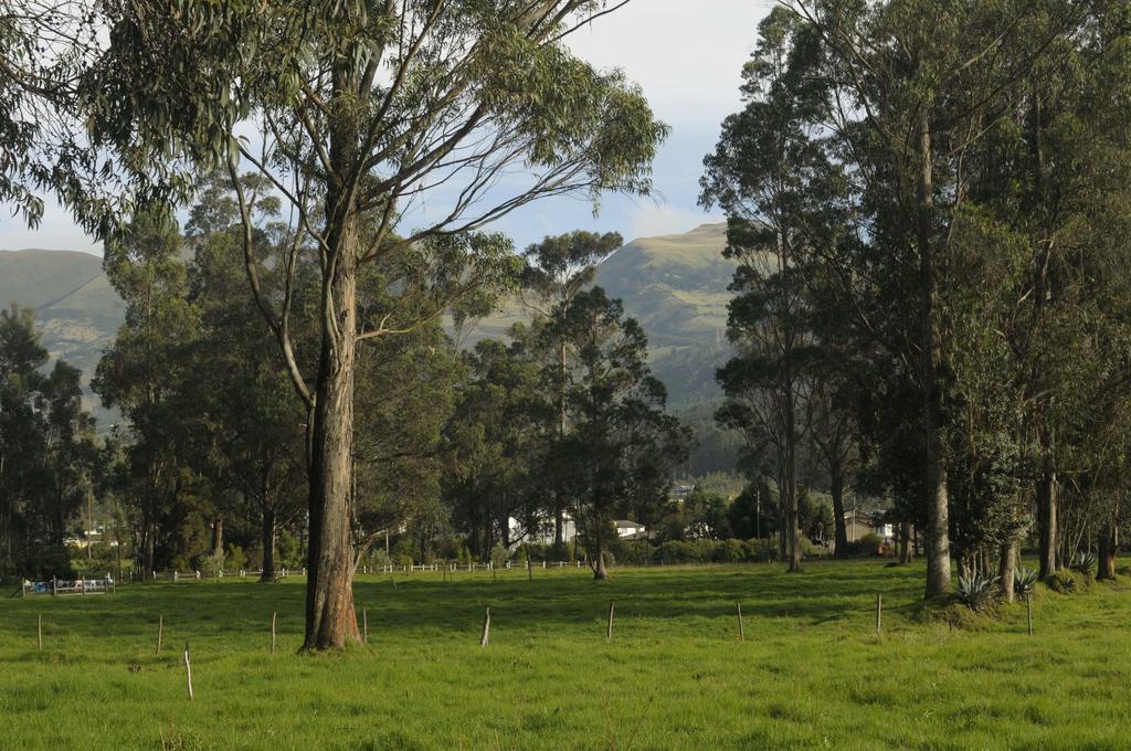 Molino San Juan Bed and Breakfast Cayambe Esterno foto