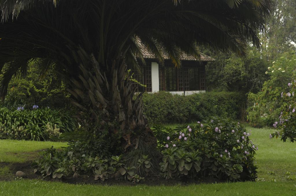 Molino San Juan Bed and Breakfast Cayambe Esterno foto