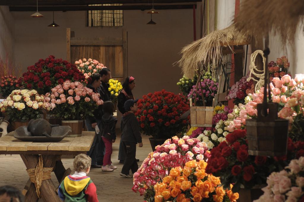 Molino San Juan Bed and Breakfast Cayambe Esterno foto